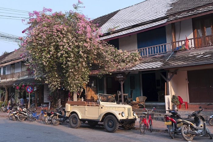 Visit the Old town of Luang Prabang