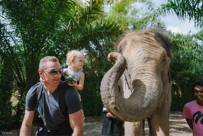 Visit the Phuket Elephant Jungle Sanctuary