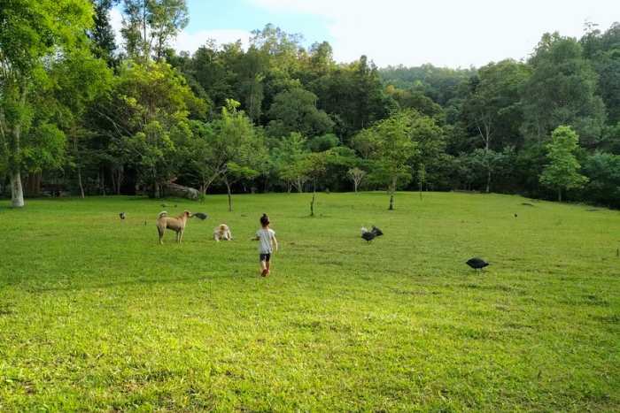 When to visit Chiang Mai?