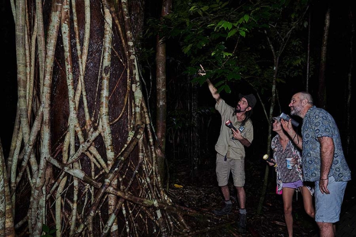 Experience the unique Night Safari in Khao Sok