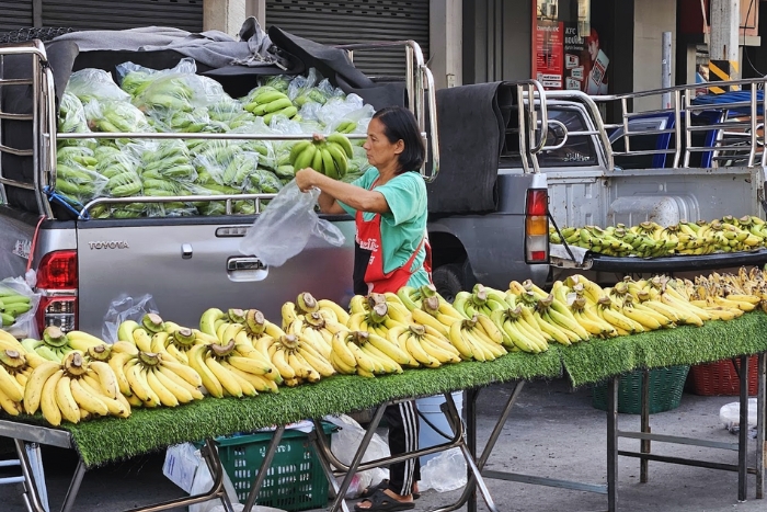 A morning trip to the Chao Phrom Market