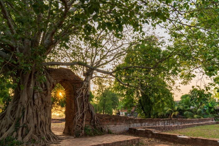 Golden sunset light illuminating the ruins of Wat Phra Ngam