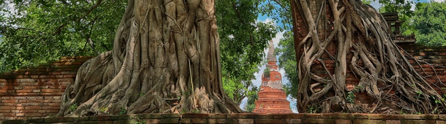 Wat Phra Ngam: the mysterious "Portal of Time" of Ayutthaya