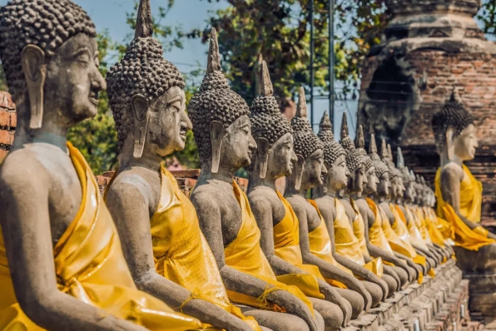 Rows of Buddha statues draped in golden fabric