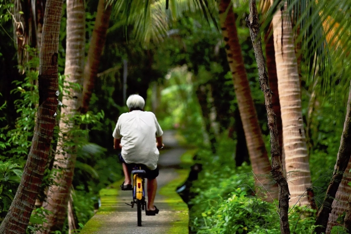 Bang Krachao &ndash; the green lung of Bangkok