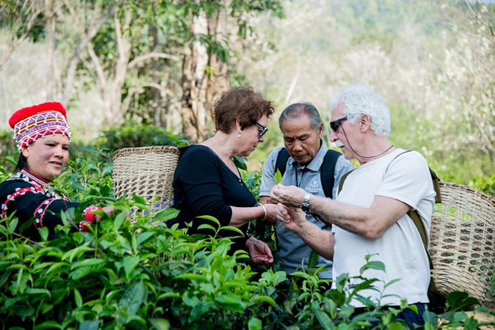 Things to do at Araksa Tea Garden