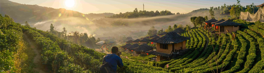 7-day trip to Bangkok and northern Thailand 