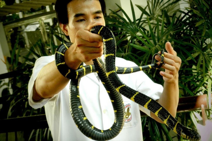 Queen Saovabha Snake Farm