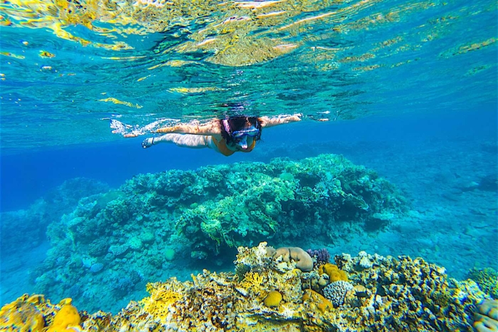 Ao Leuk Shark Bay Koh Tao &ndash; family-friendly snorkeling beaches in Thailand