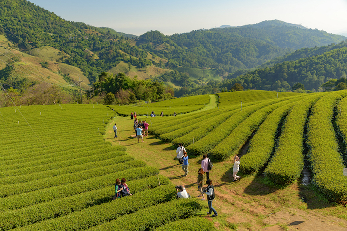 When to go to Chiang Rai? Seasons in Chiang Rai