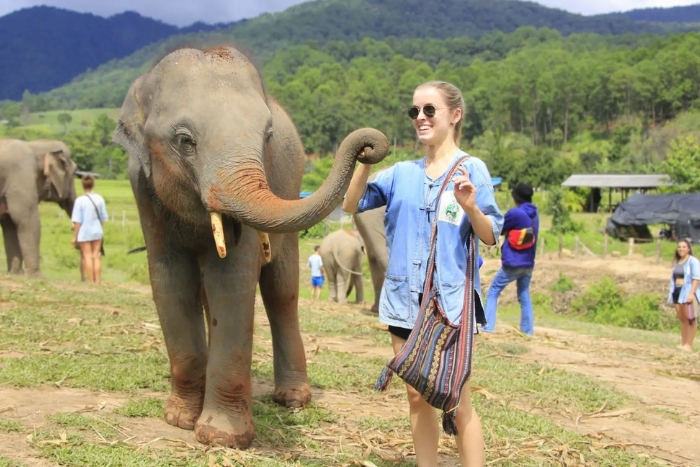 Living Green Elephant Sanctuary, a memorable experience during my luxury Thailand itinerary 7 days