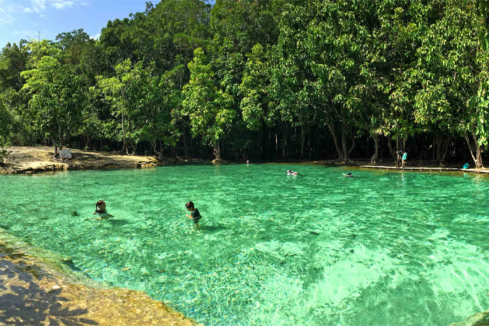Emerald Pool surrounded by jungle in Krabi