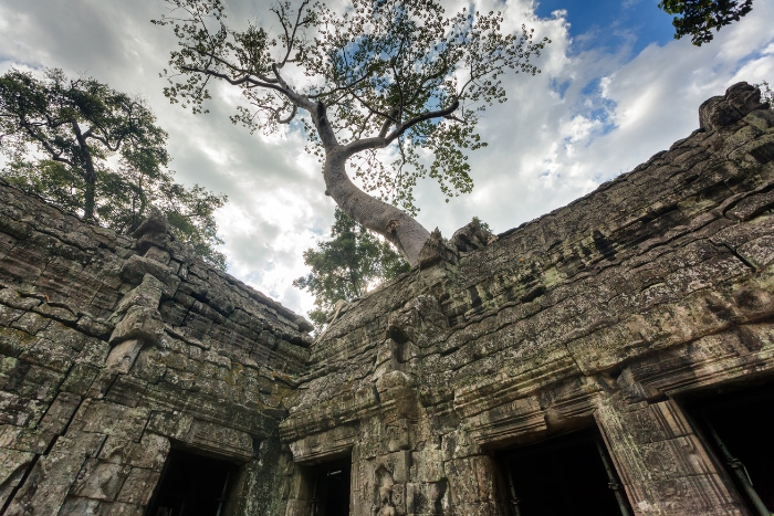 Ta Prohm is must-visit in Thailand Vietnam Cambodia combined trip