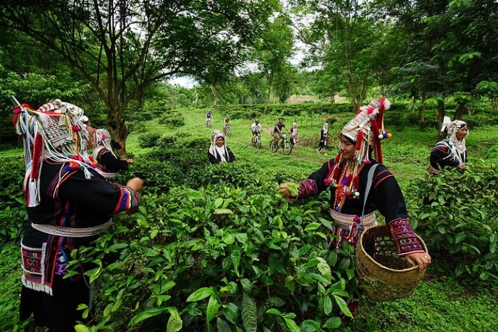 Visit Waterfalls and Lisu villages