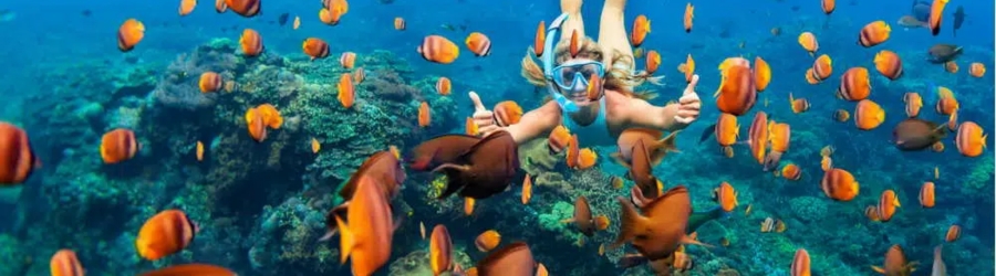 How Much Does Snorkeling In Thailand Cost?