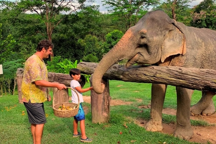 Ethical elephant encounters