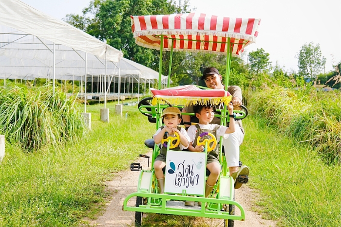 Yaowapa Organic Farm offers many fun and educational activities for children