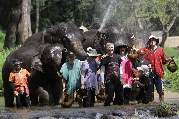 What to do on a farm in Thailand? Visit Patara Elephant Farm
