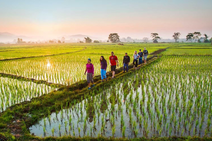 Walks and hikes are must-try activities during your rural getaway in Thailand