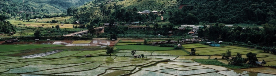 Farm weekend in Thailand