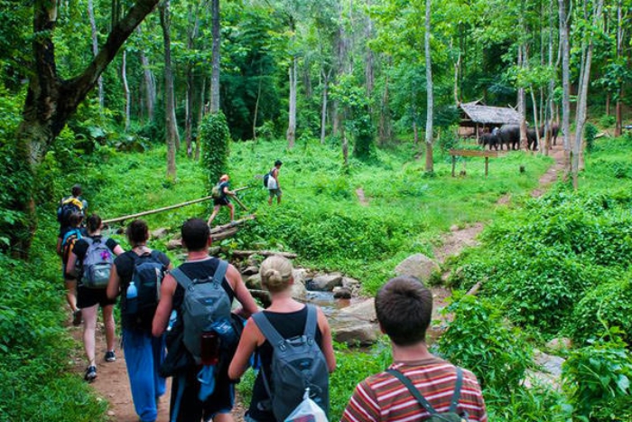 Where to trek in North Vietnam?