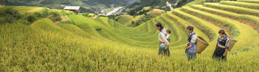 Where is the best destination for trekking in north Vietnam? 