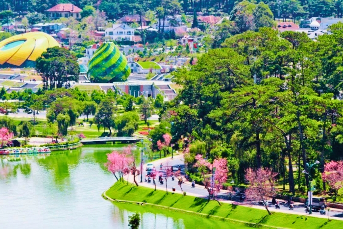 Seasonal colors brighten Da Lat before Lunar New Year