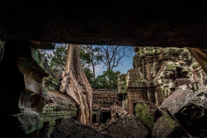 Ta Prohm – Temple overgrown by the jungle