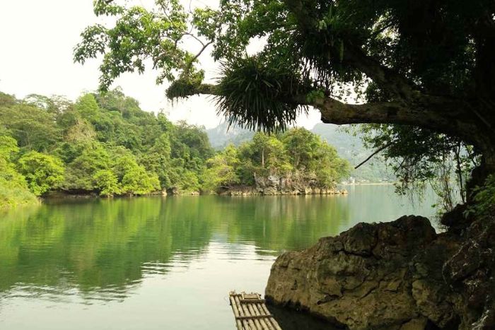 Wondering about the best time to visit Ba Be? Summer is ideal for lovers of tropical nature