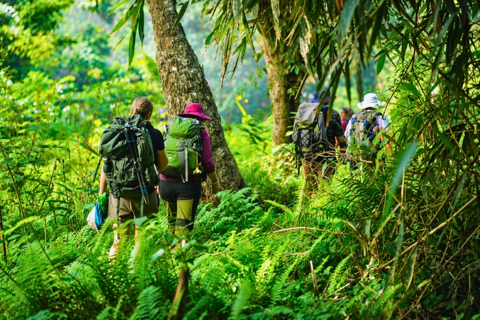 Venture into Ba Be National Park and discover unspoiled nature