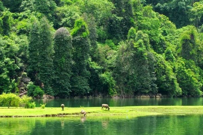 An immersive journey from Sapa to Ba Be