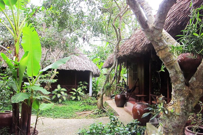 Jardin du Mekong Homestay