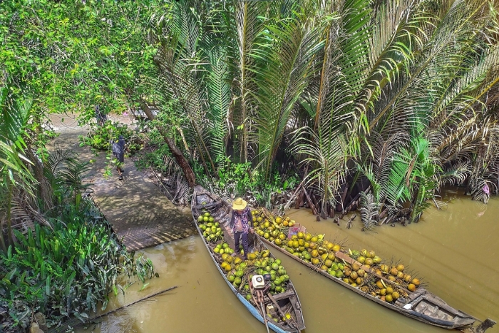 Ben Tre, a city known for its idyllic scenery and coconut production