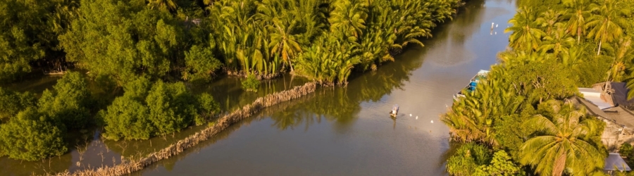 5 days in Ben Tre and the surrounding areas