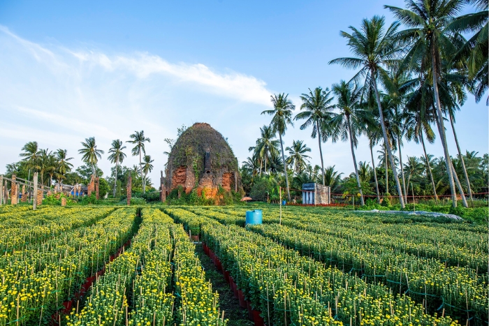 Cai Mon Flower Village in your Ben Tre cycling tour