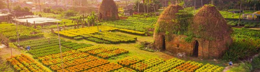 Discover Cho Lach Ben Tre