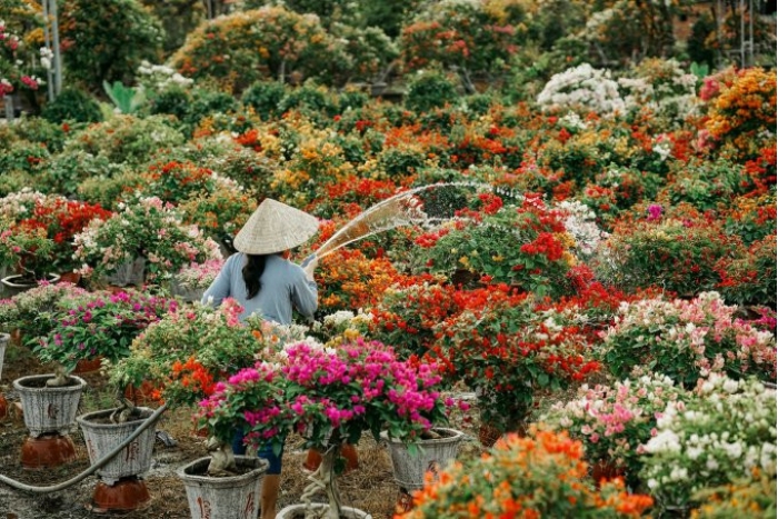 Discover The Cai Mon Flower Village