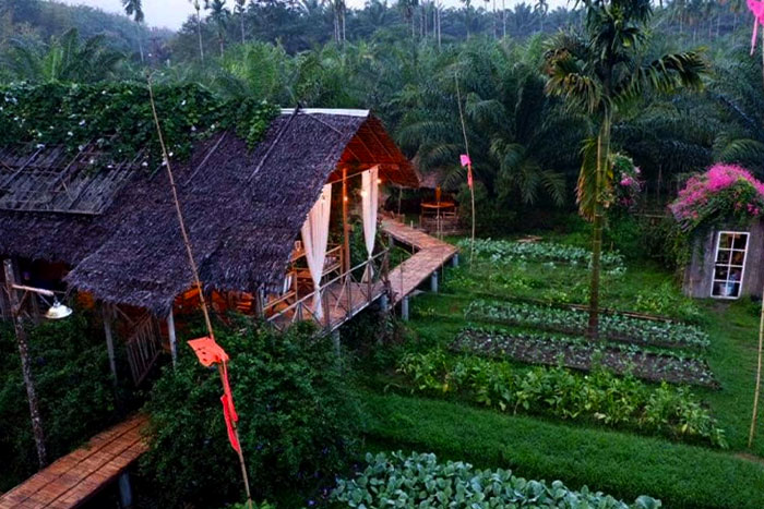 Homestay in Ben Tre is a good choice