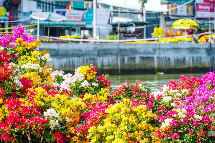 Traveling to Can Tho in spring