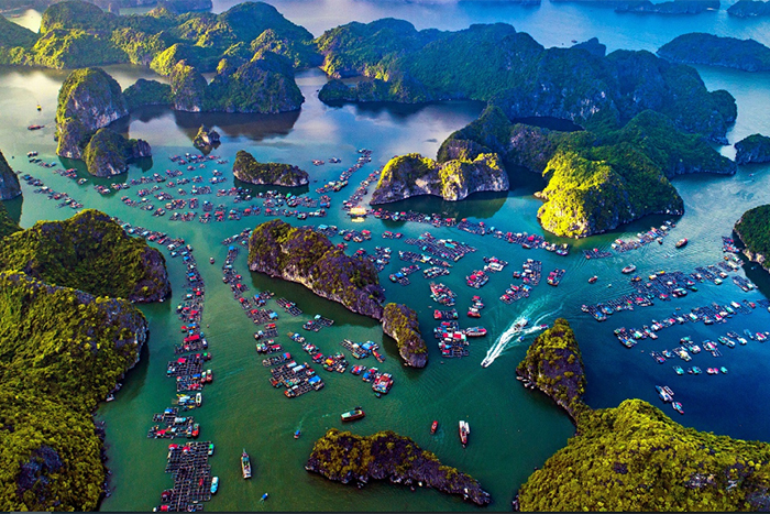 Cat Ba Island 