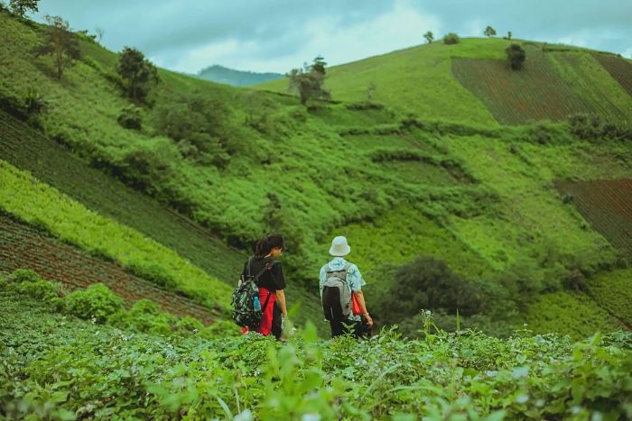 Trekking on Mount Chu Dang Ya - Adventure in the heart of the Highlands