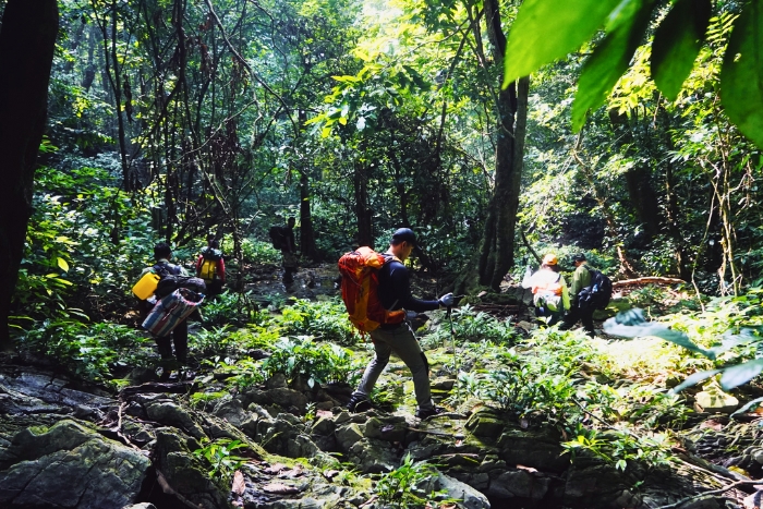 Morning trek through Con Dao National Park