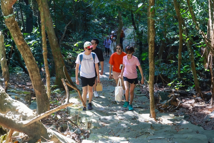 Experience the natural beauty of Con Dao