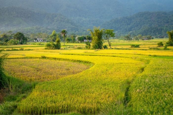 Meaningful family travel experience in Lai Chau