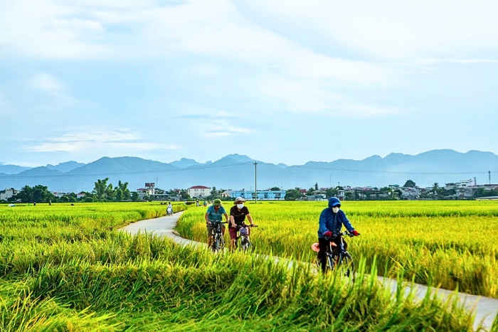 Favorable weather allows you to cycle through rice fields and enjoy beautiful scenery