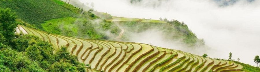 What to do during a Lai Chau Dien Bien 4 day trip? Admire the spectacular sea of clouds