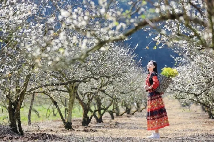 Visit Lai Chau in spring to admire colorful blossoms covering the mountains