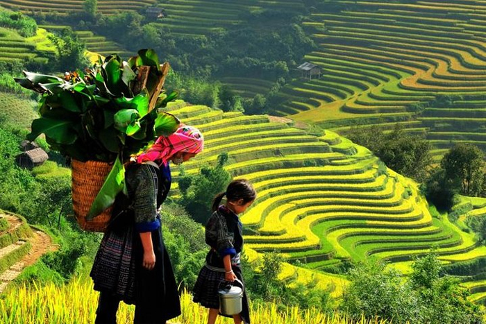 Discover Ta Phin village Of The red Dao people in Sapa