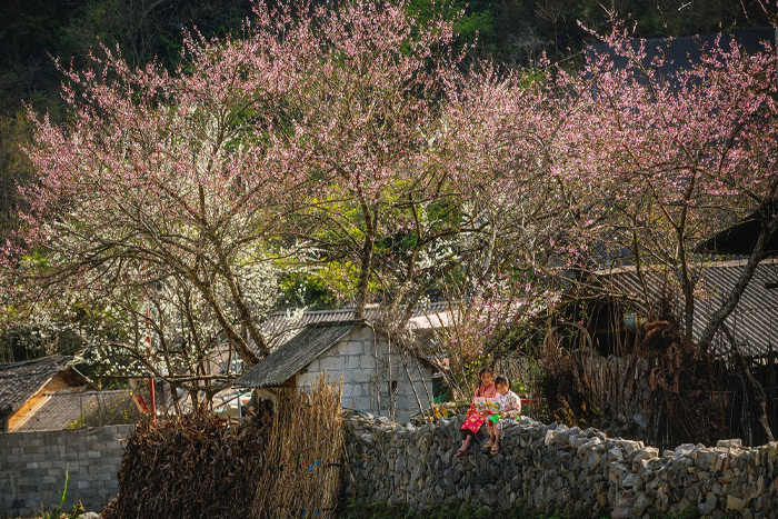 Explore the villages in Bac Ha Sapa