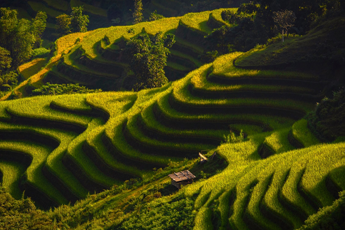 Trekking in Hoang Su Phi